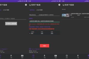 安卓LJ视频下载器v1.1.04纯净版