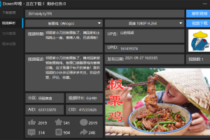 Down哔哩解析下载工具v0.1.1