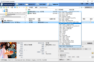 EZ CD Audio Converter v11.5.0.1
