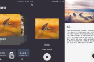 安卓葵花睡眠v1.3.4绿化版