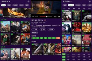 安卓紫焰视频v1.3.0绿化版