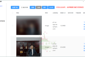 万能嗅探视频下载器v1.0.5绿色版