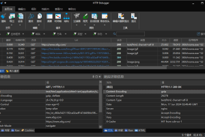 HTTP Debugger v9.9中文特别版