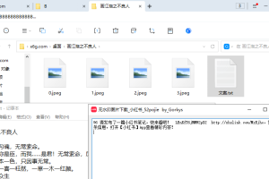 小红书批量去水印下载原图v1.4