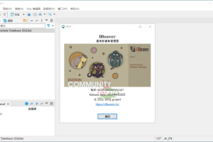 Dbeaver community v22.2.1绿色版