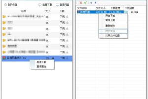 第三方下载 雷鸟下载v3.0.0