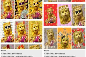安卓金钱豹头像合集v1.0
