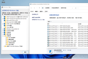 小修Windows11 22000.2960专业版