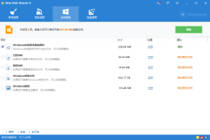 Wise Disk Cleaner v10.9.3绿色版