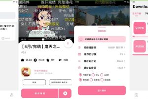 安卓BILIBILIAS番剧下载器v2.0.43