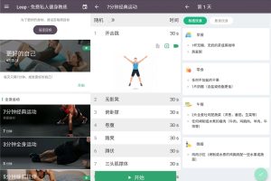 安卓Leap专业版 健身神器