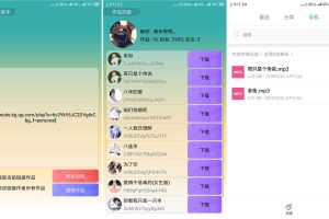 安卓全民K歌解析下载助手