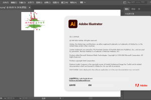 Adobe Illustrator 2021精简版
