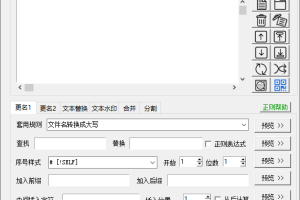 文本文件批量处理工具v1.4