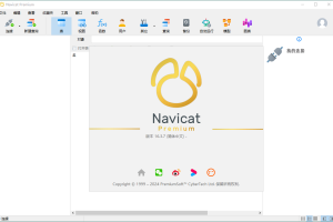 Navicat Premium v16.3.7绿色版