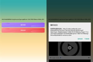 安卓微博视频一键下载器