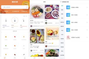 安卓膳食元素v3.1.0绿化版