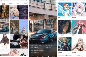 安卓元气壁纸v1.0.6绿化版