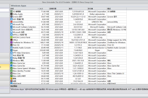Revo Uninstaller Pro v5.2.6绿色版