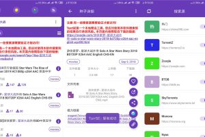 种子磁力爬虫 TorrSE v2.0.2