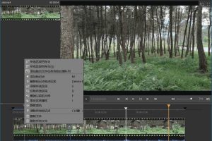 视频剪辑SolveigMM Video便携版