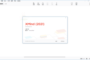 XMind 2021 v11.1.0大客户版