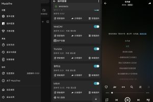 安卓MusicFree音乐播放器v0.3.0