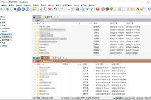 XYplorer v26.00.0100绿色版