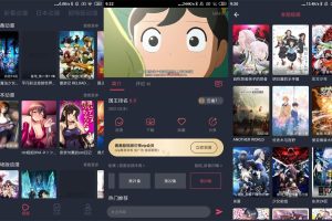 安卓横风动漫v1.3.2.7绿化版