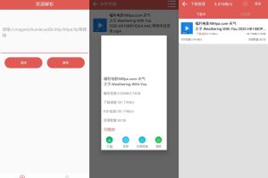 安卓BT磁力下载器v4.1绿化版