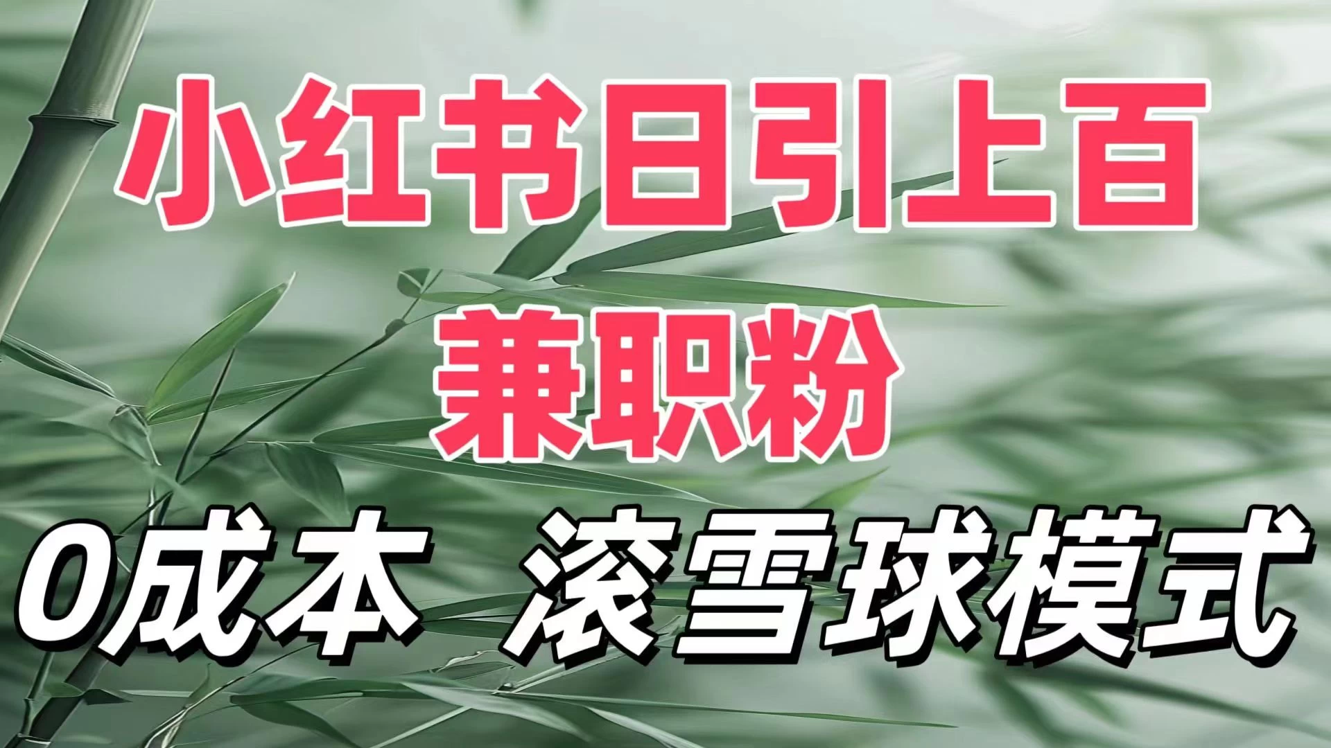 最新小红书引流自热，轻松日引上百精准宝妈创业粉，滚雪球模式，门槛低的新规则玩法