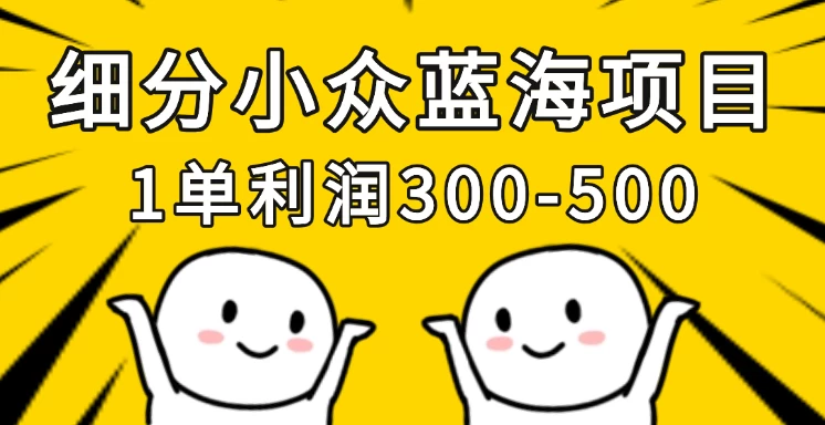 细分小众蓝海项目，一单利润300-500，每月收入稳定4w+
